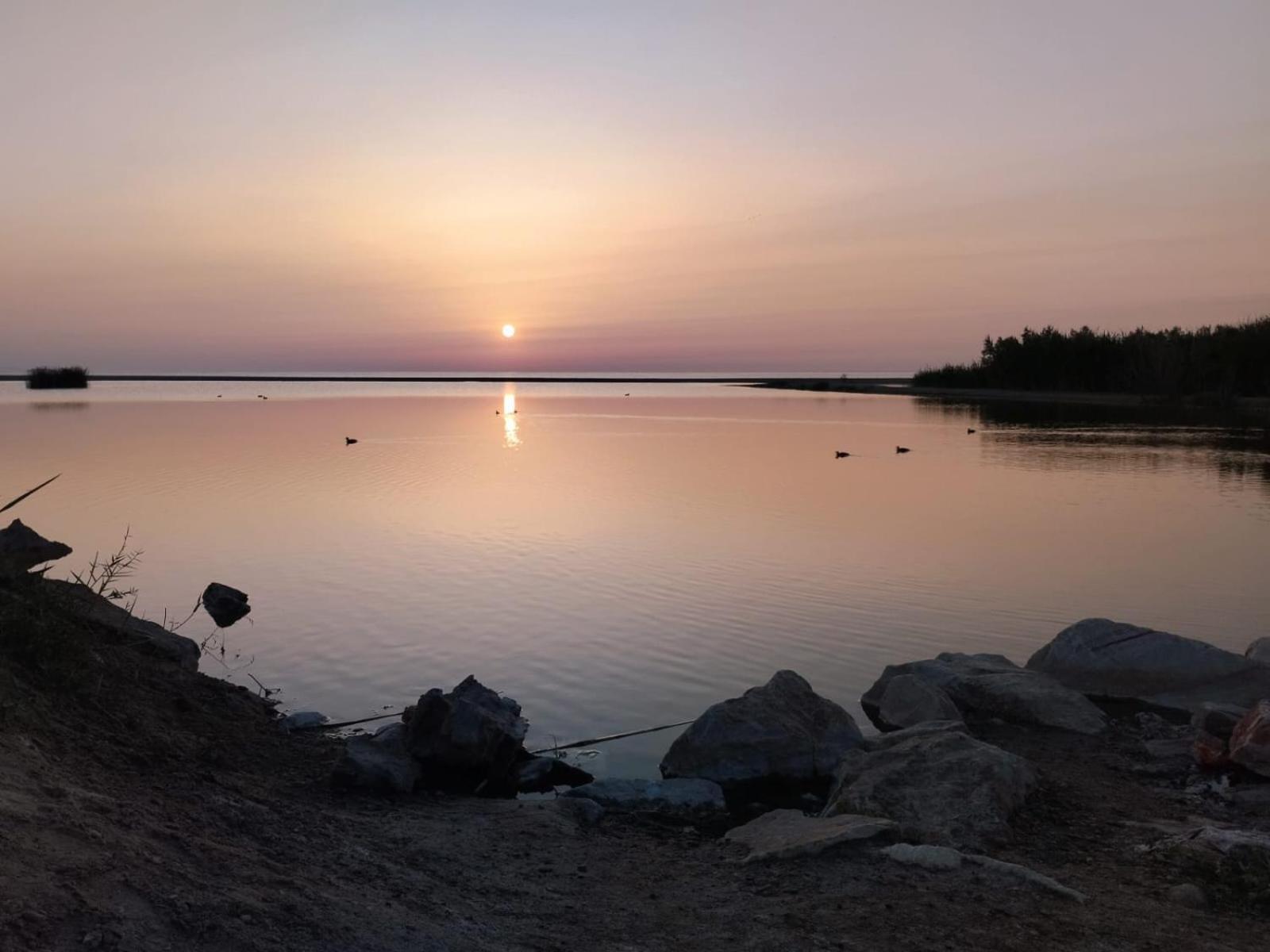 Urbanizacion Torremar Natura Vacacionesenvera.Com Dış mekan fotoğraf